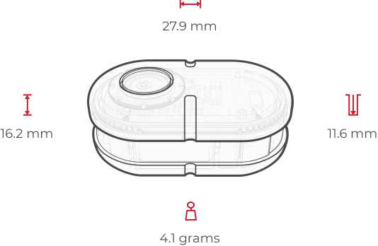 PN 3